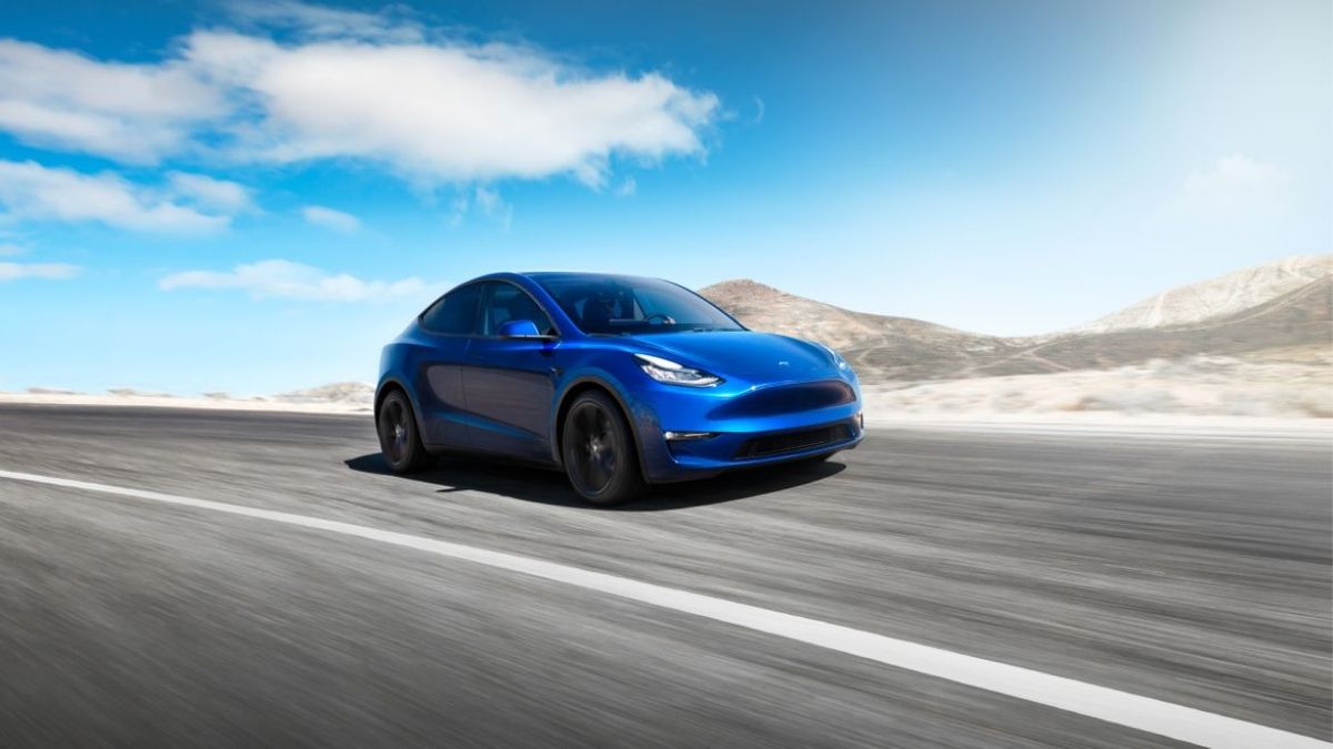 Tesla Model Y affordable electric SUV (1)