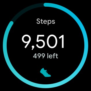 The new step counter icon hints at Fitbit integration