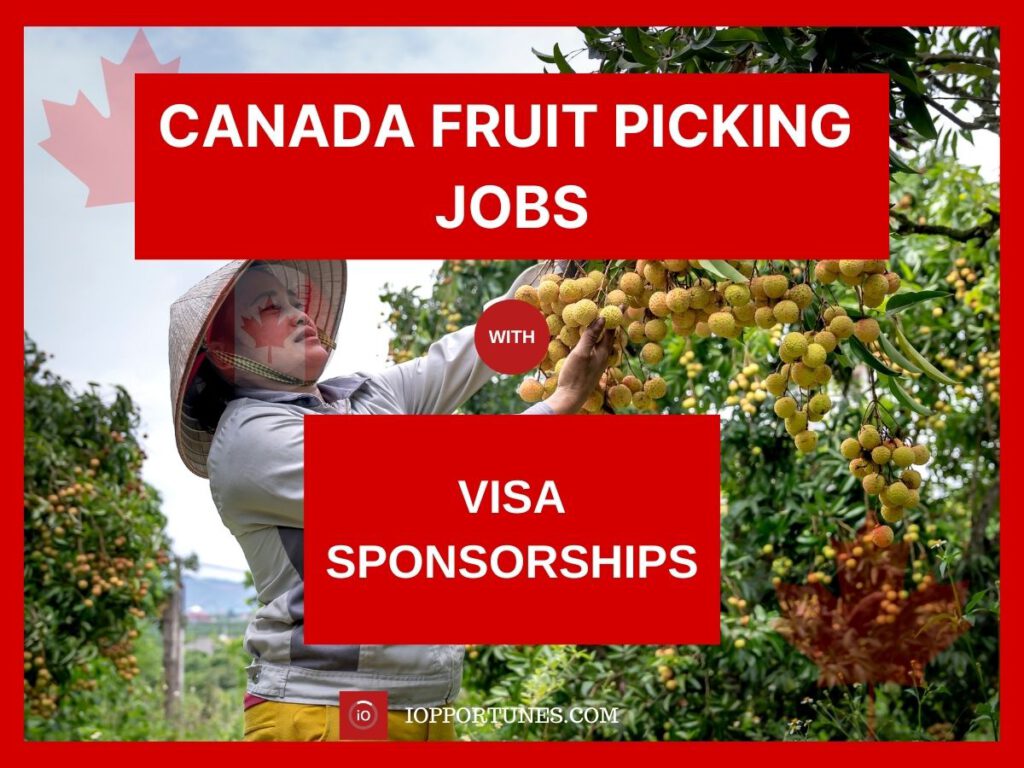 CANADA FRUIT PICKING JOBS